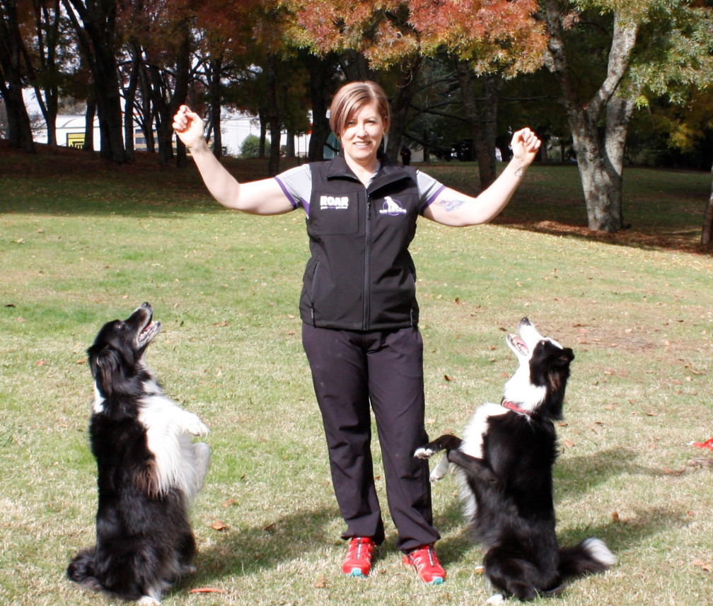 Claire training her Border Collies